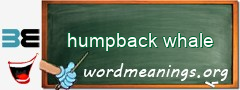 WordMeaning blackboard for humpback whale
